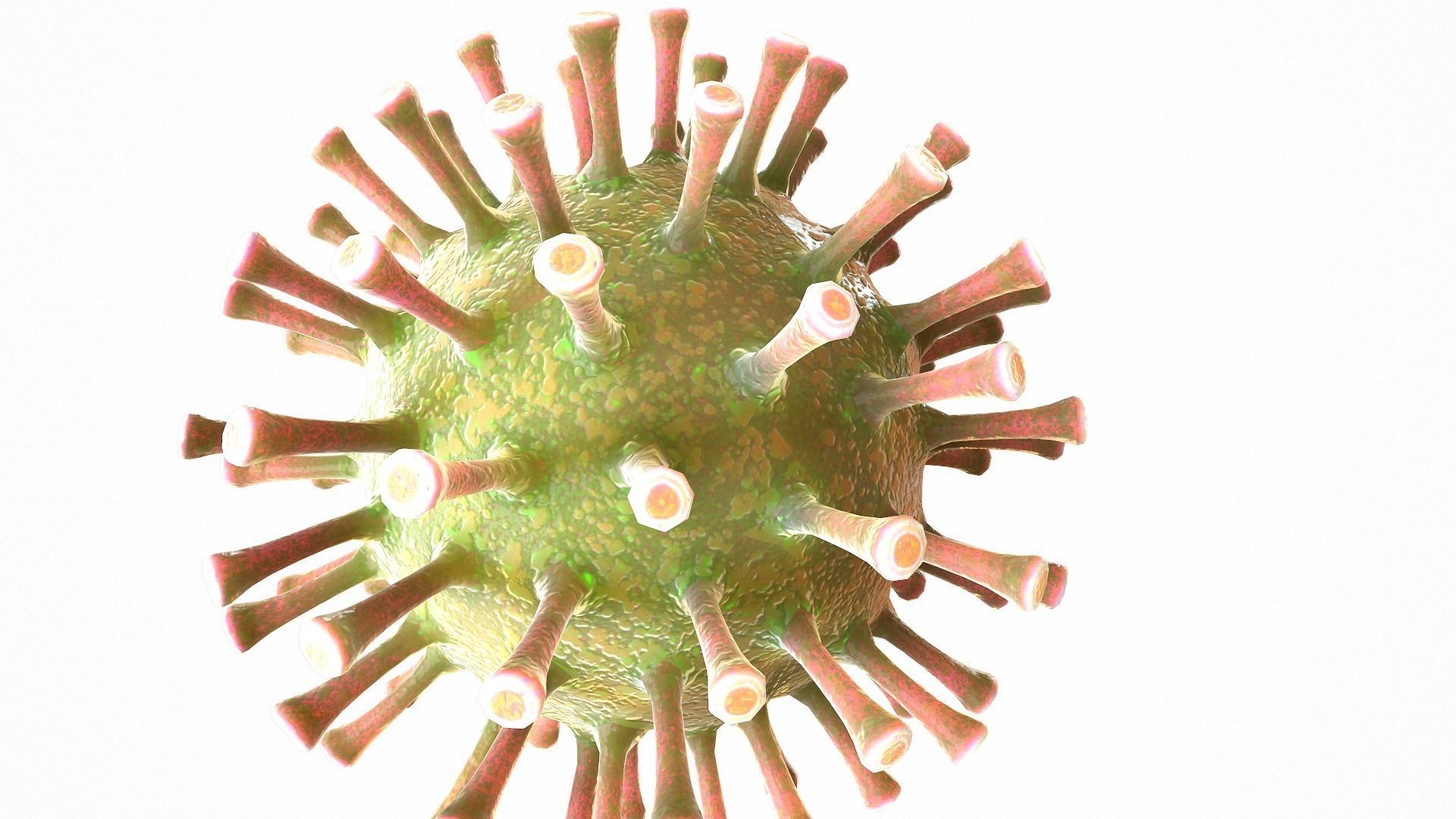 Coronavirus COVID 19 Low-poly 3D model_5