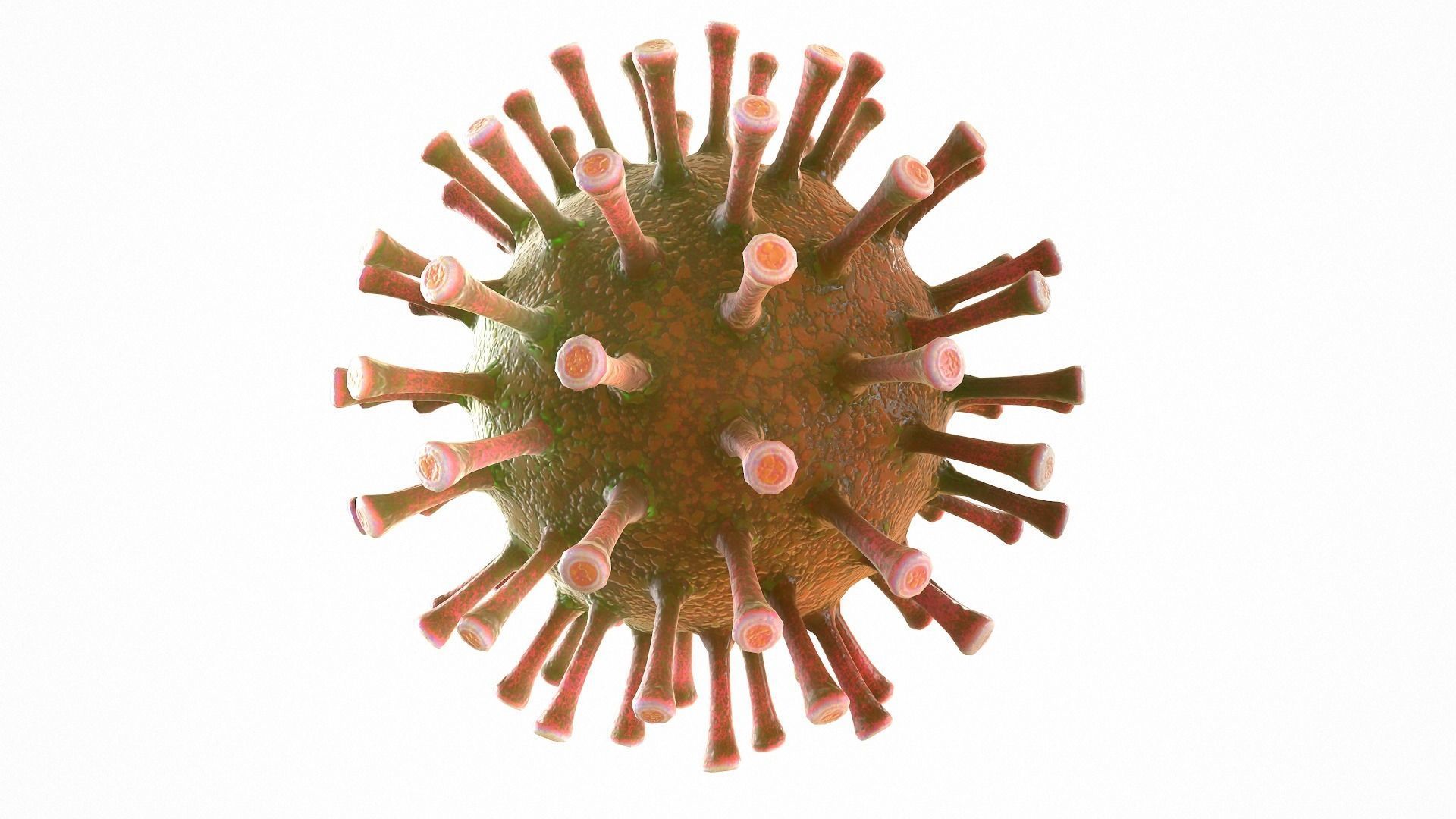 Coronavirus COVID 19 Low-poly 3D model_8
