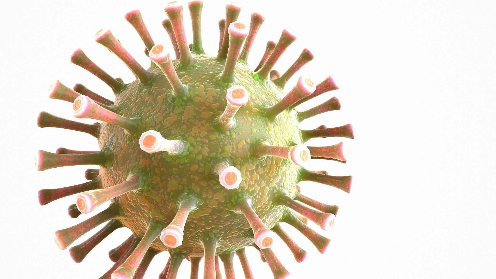 Coronavirus COVID 19 Low-poly 3D model_3