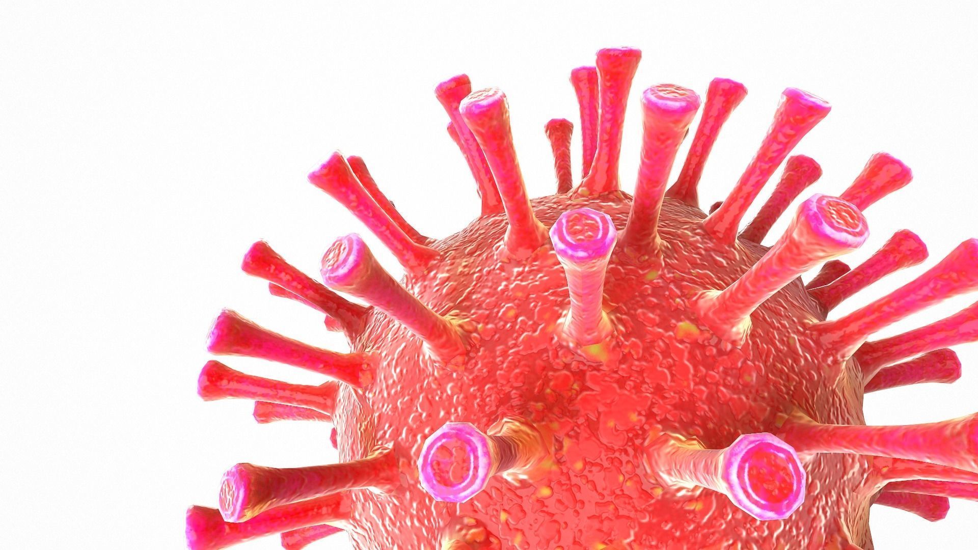 Coronavirus COVID 19 Low-poly 3D model_7
