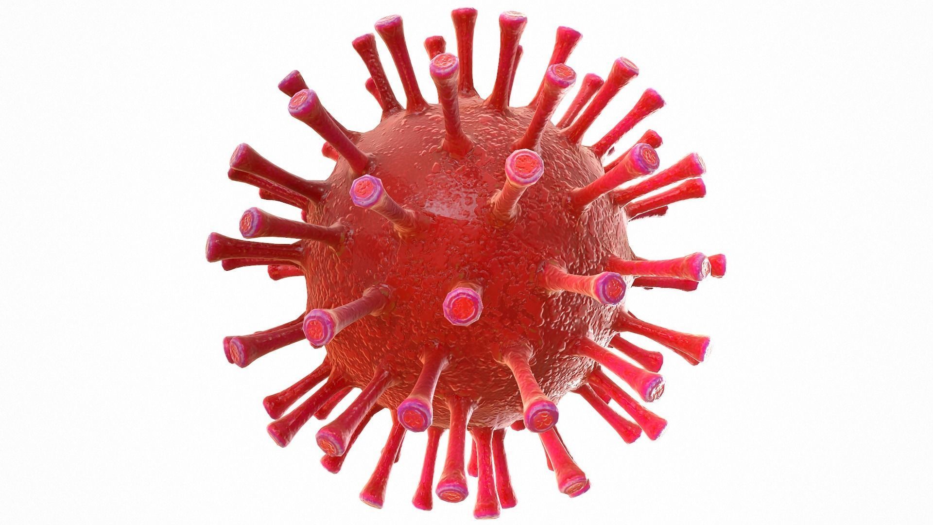 Coronavirus COVID 19 Low-poly 3D model_5