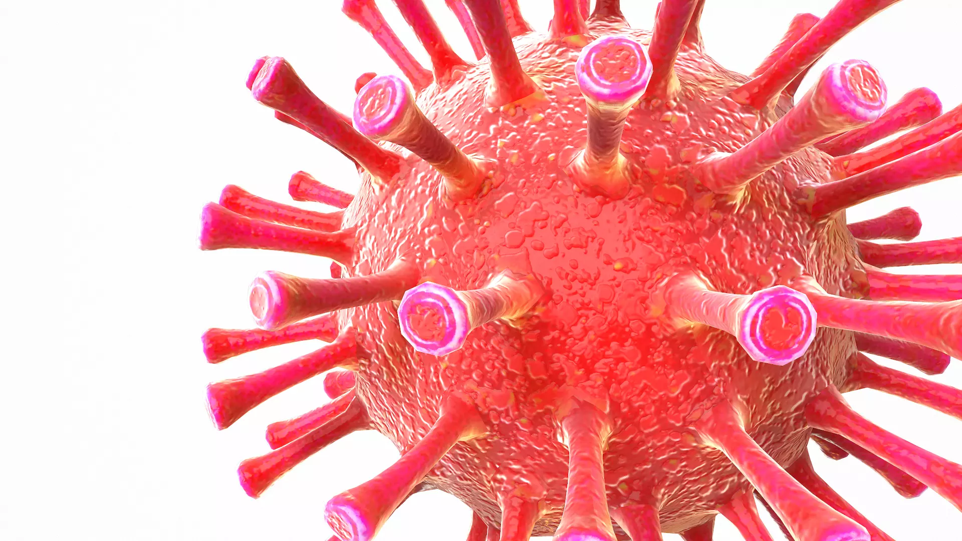 Coronavirus COVID 19 Low-poly 3D model_0