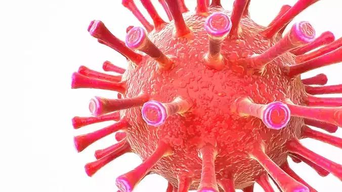 Coronavirus COVID 19 Low-poly 3D model