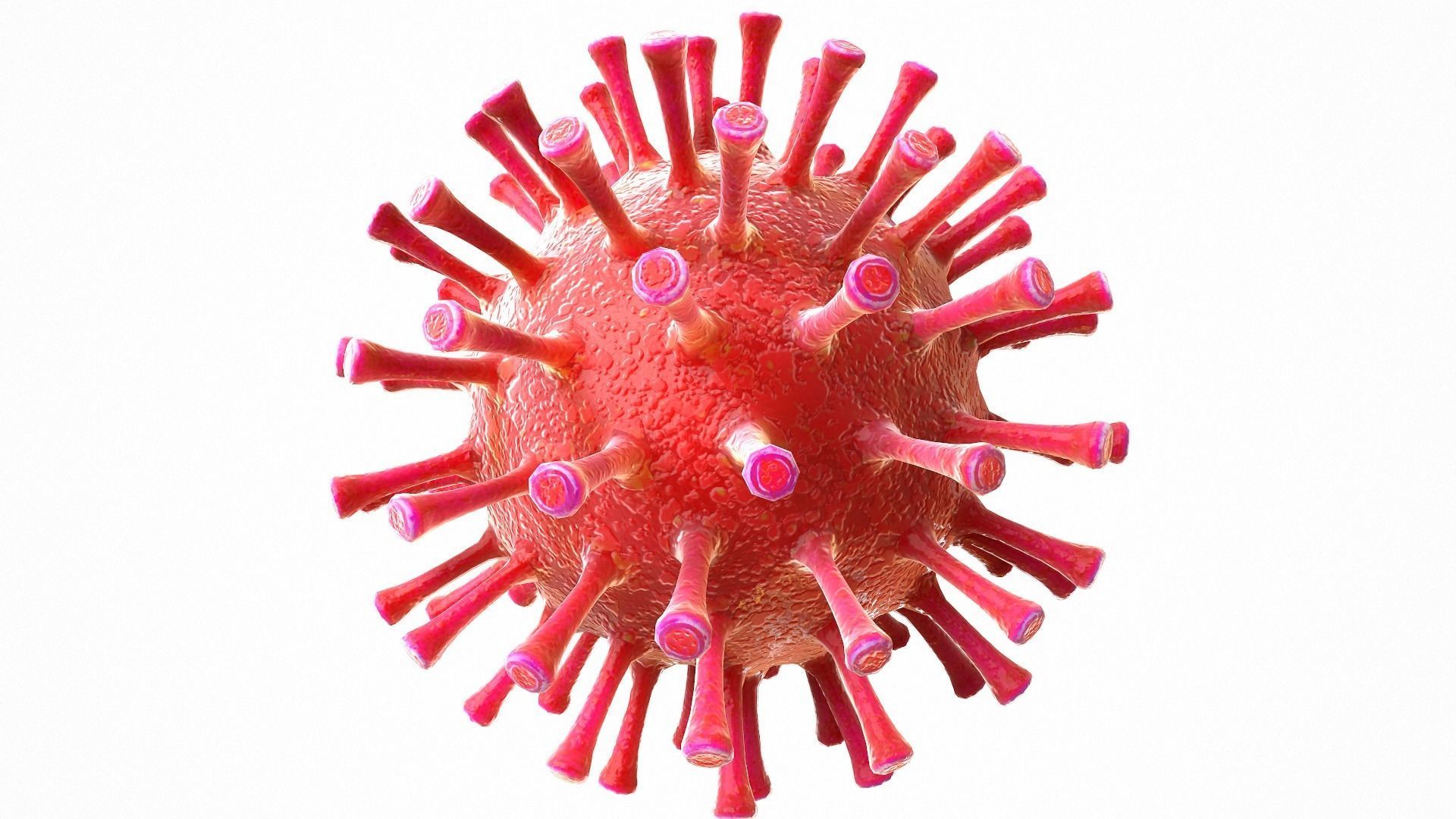 Coronavirus COVID 19 Low-poly 3D model_3