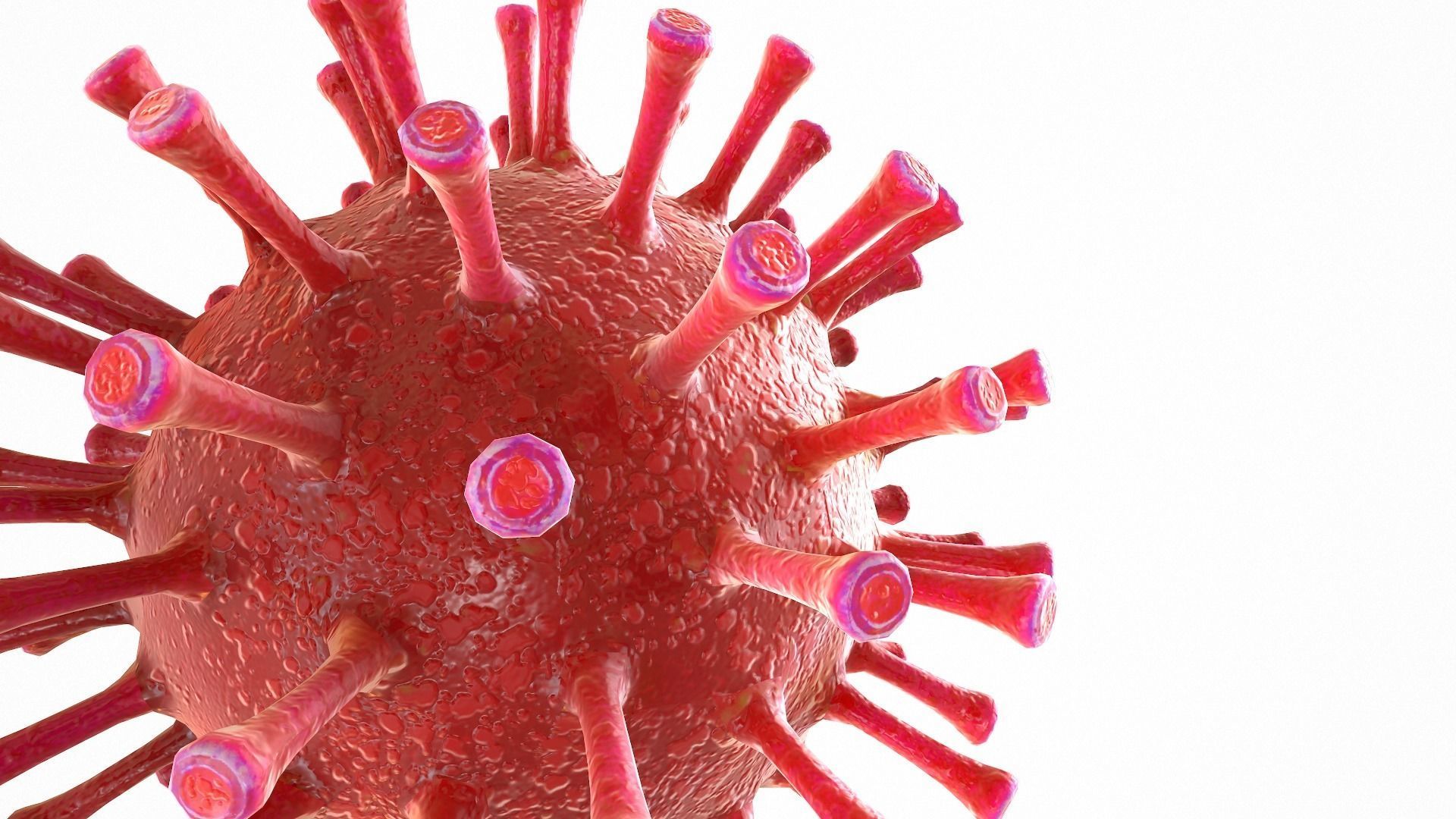 Coronavirus COVID 19 Low-poly 3D model_6