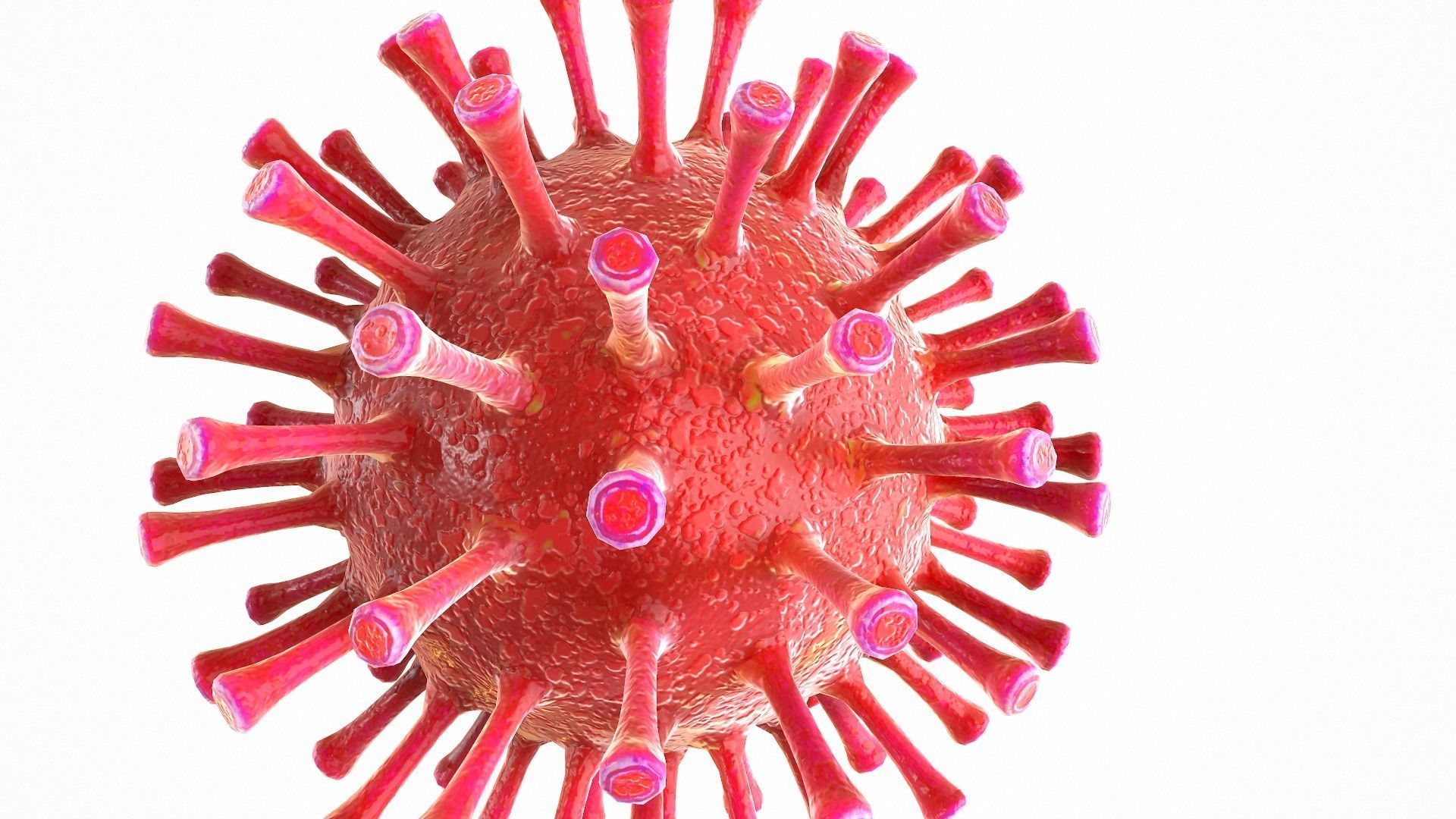 Coronavirus COVID 19 Low-poly 3D model_9