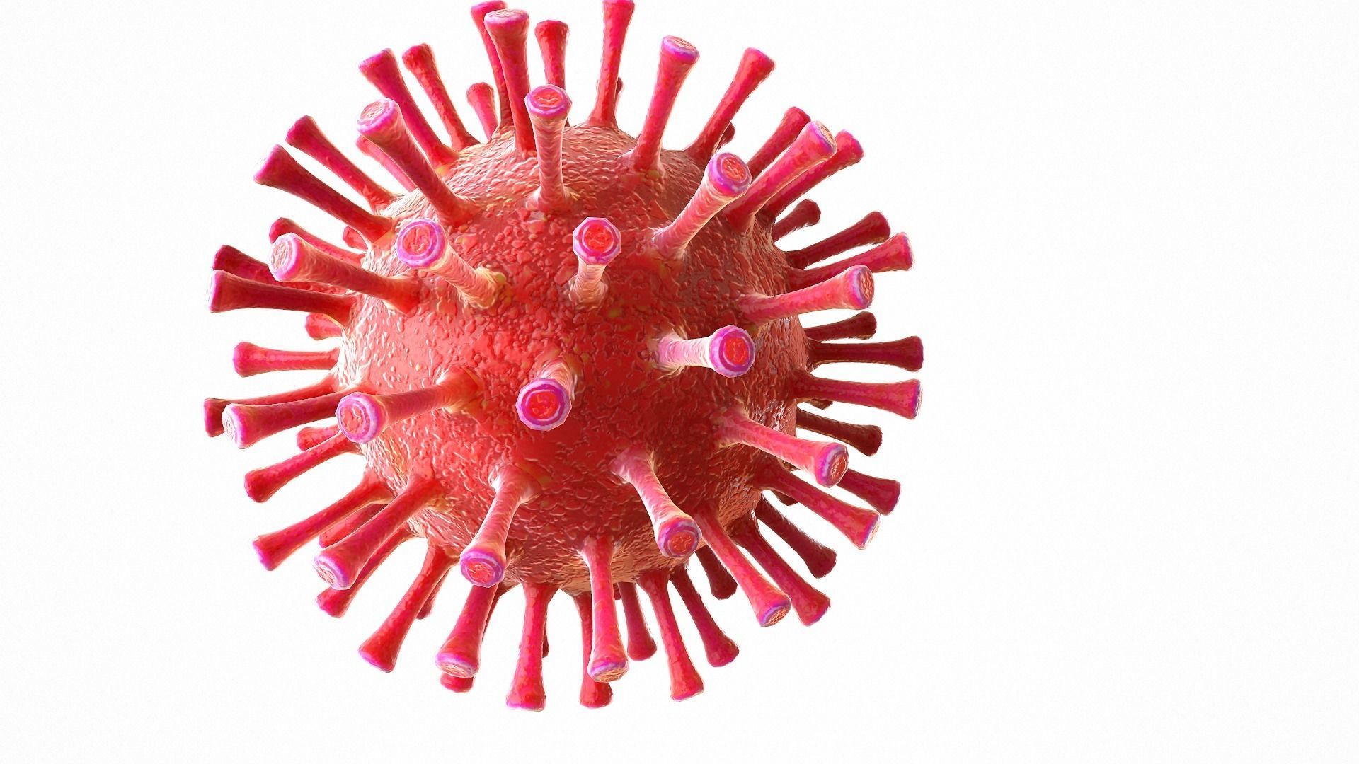 Coronavirus COVID 19 Low-poly 3D model_8