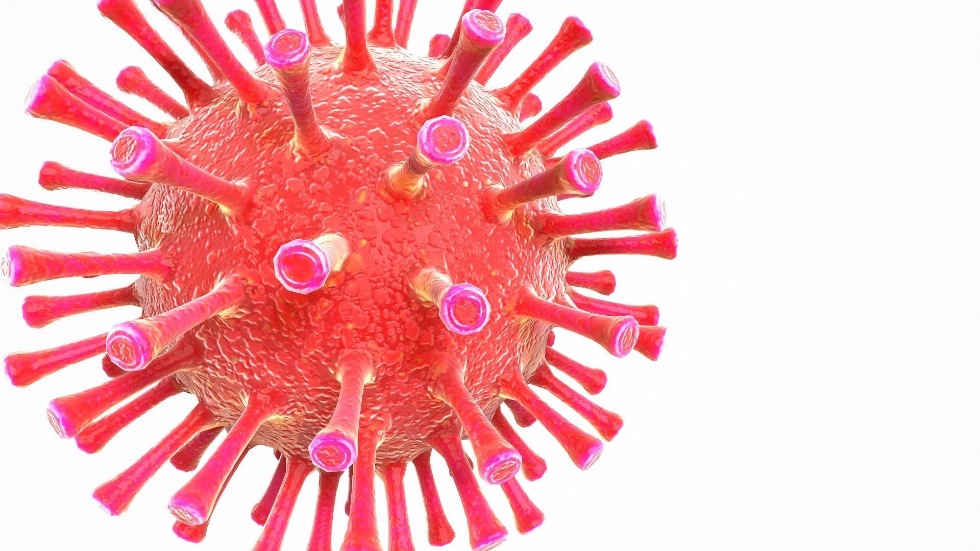 Coronavirus COVID 19 Low-poly 3D model_2