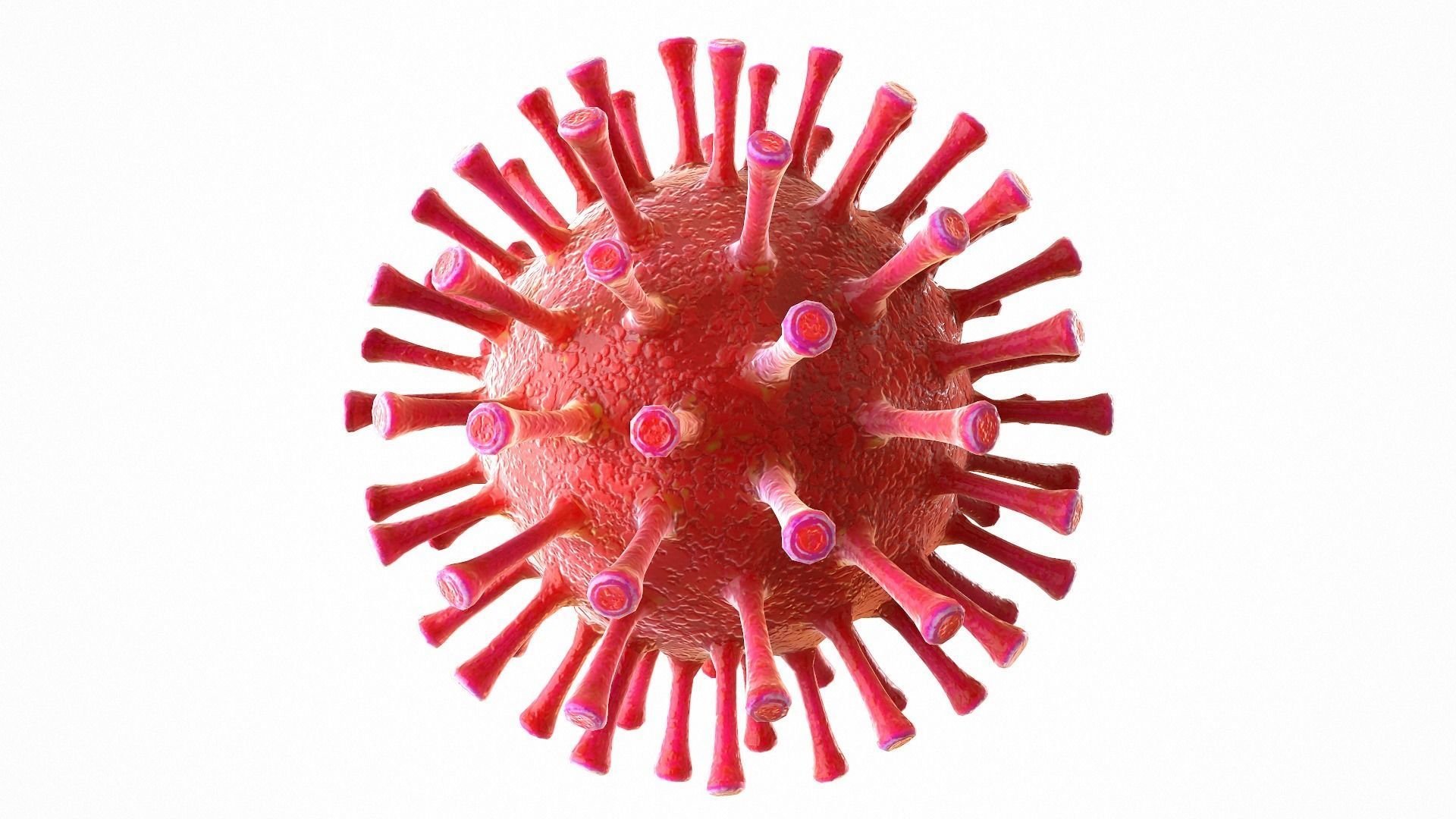 Coronavirus COVID 19 Low-poly 3D model_4