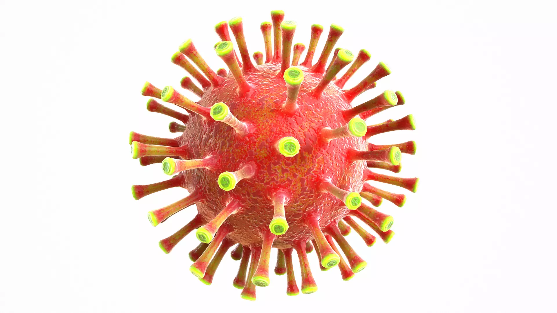 Coronavirus COVID 19 Low-poly 3D model_0