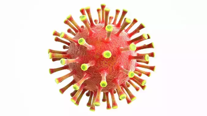 Coronavirus COVID 19