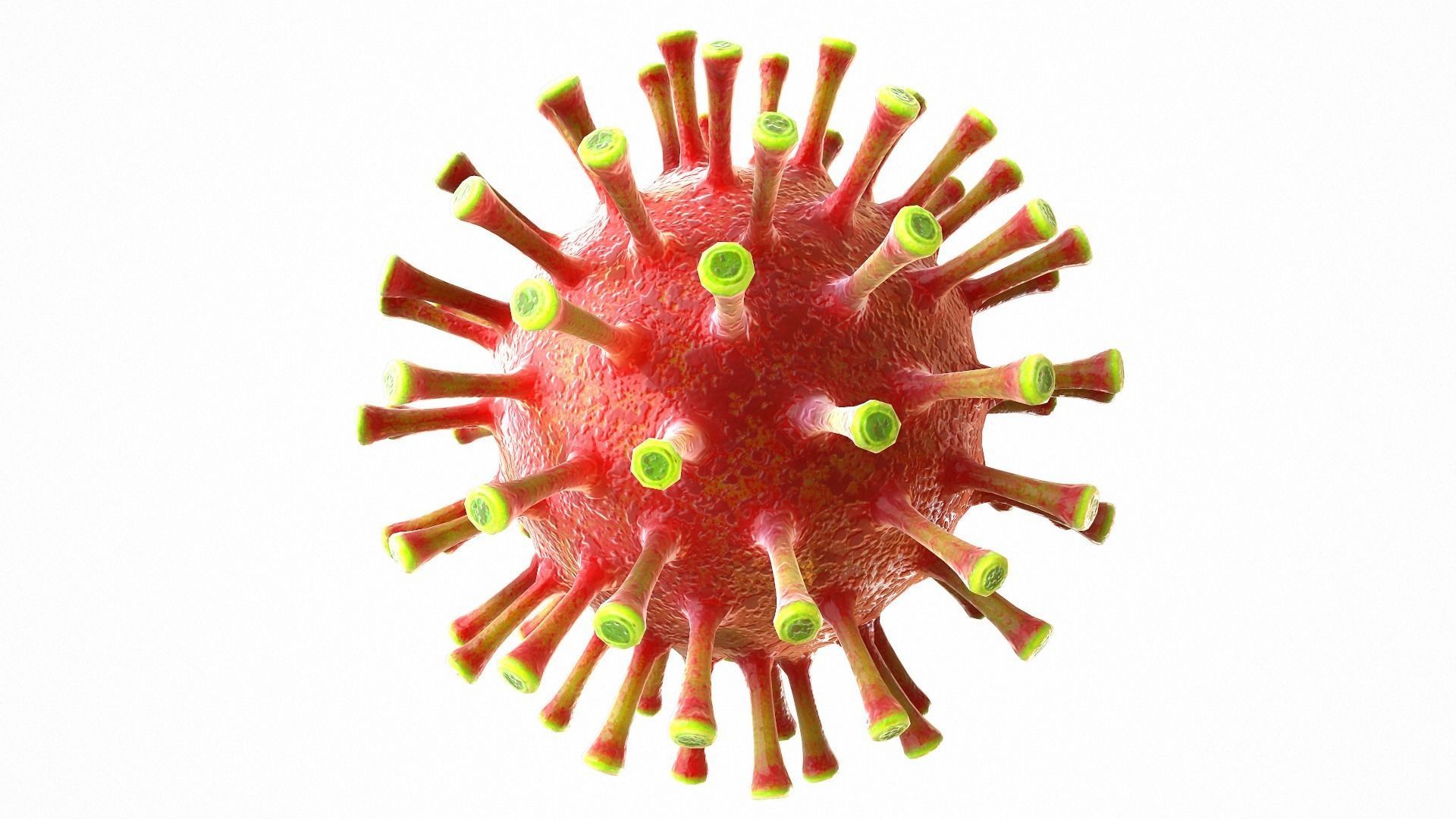 Coronavirus COVID 19 Low-poly 3D model_2