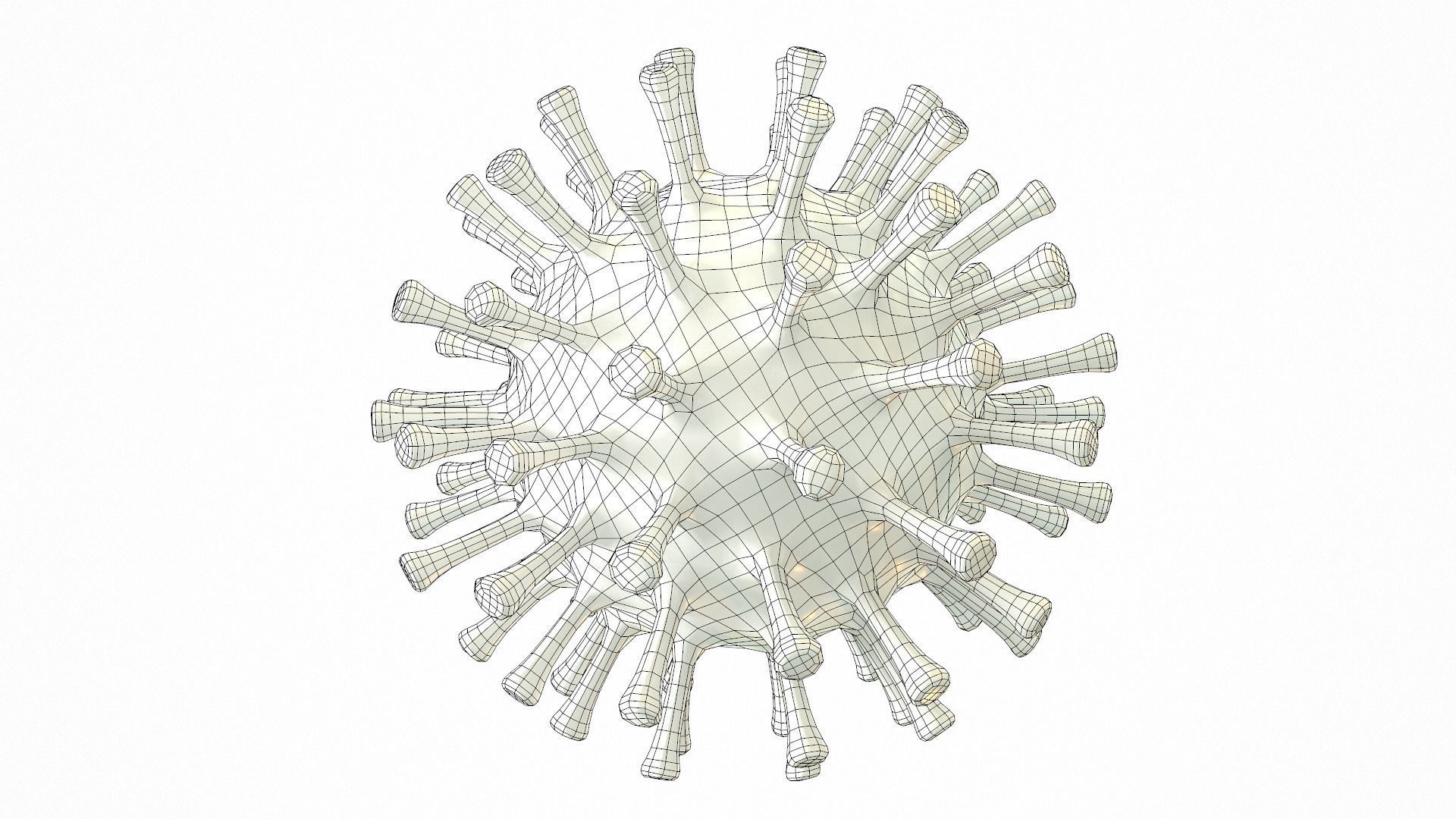 Coronavirus COVID 19 Low-poly 3D model_13