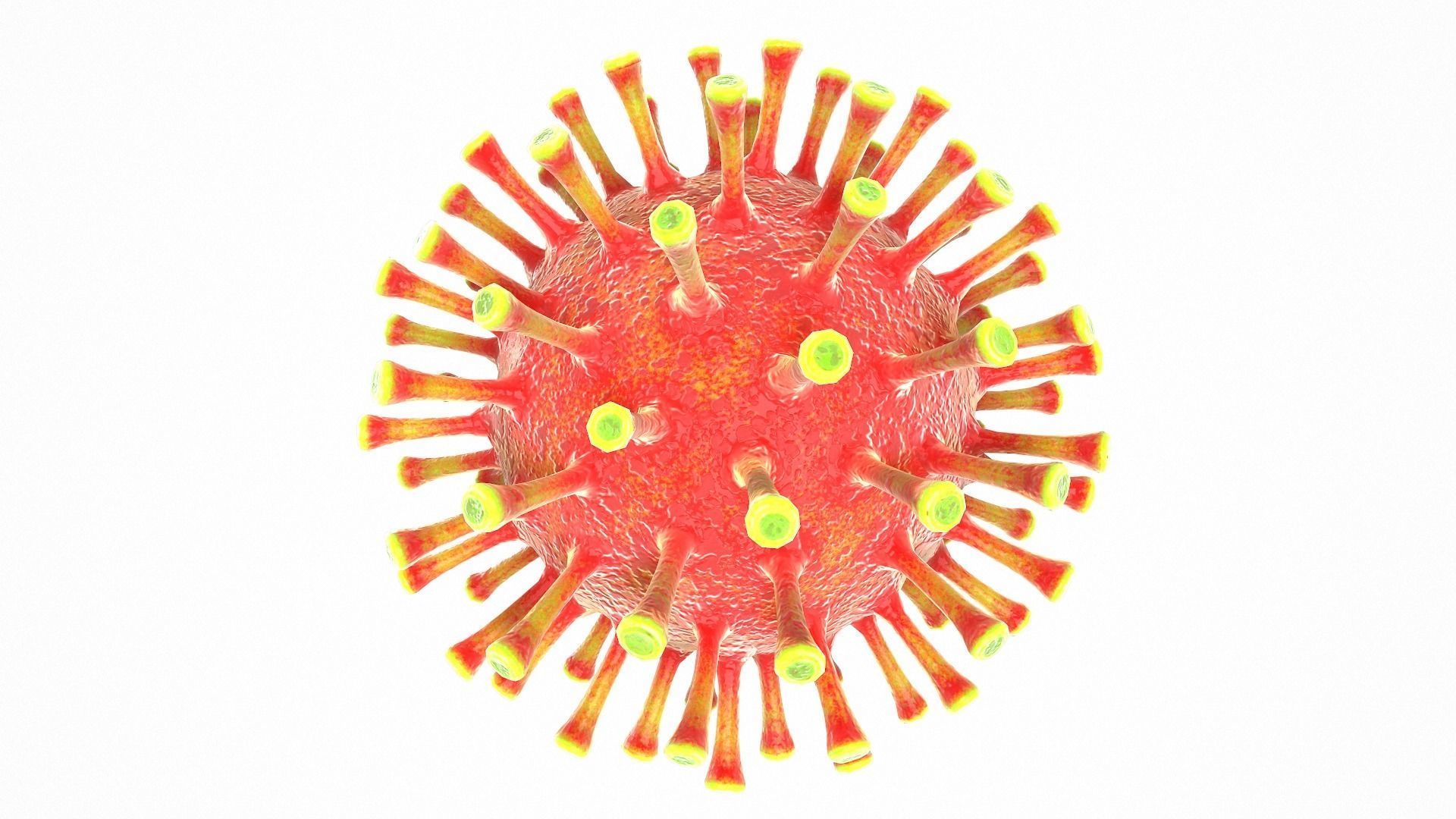 Coronavirus COVID 19 Low-poly 3D model_4
