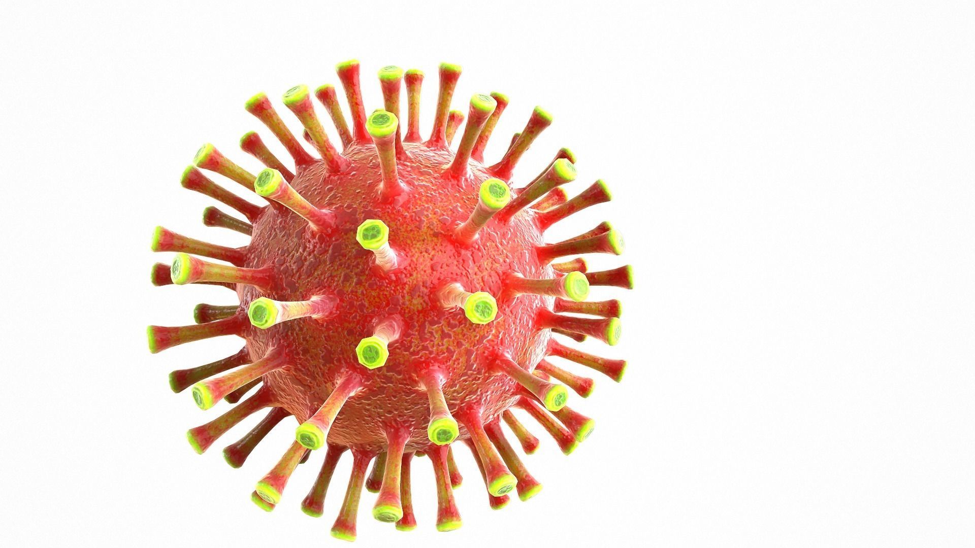 Coronavirus COVID 19 Low-poly 3D model_10