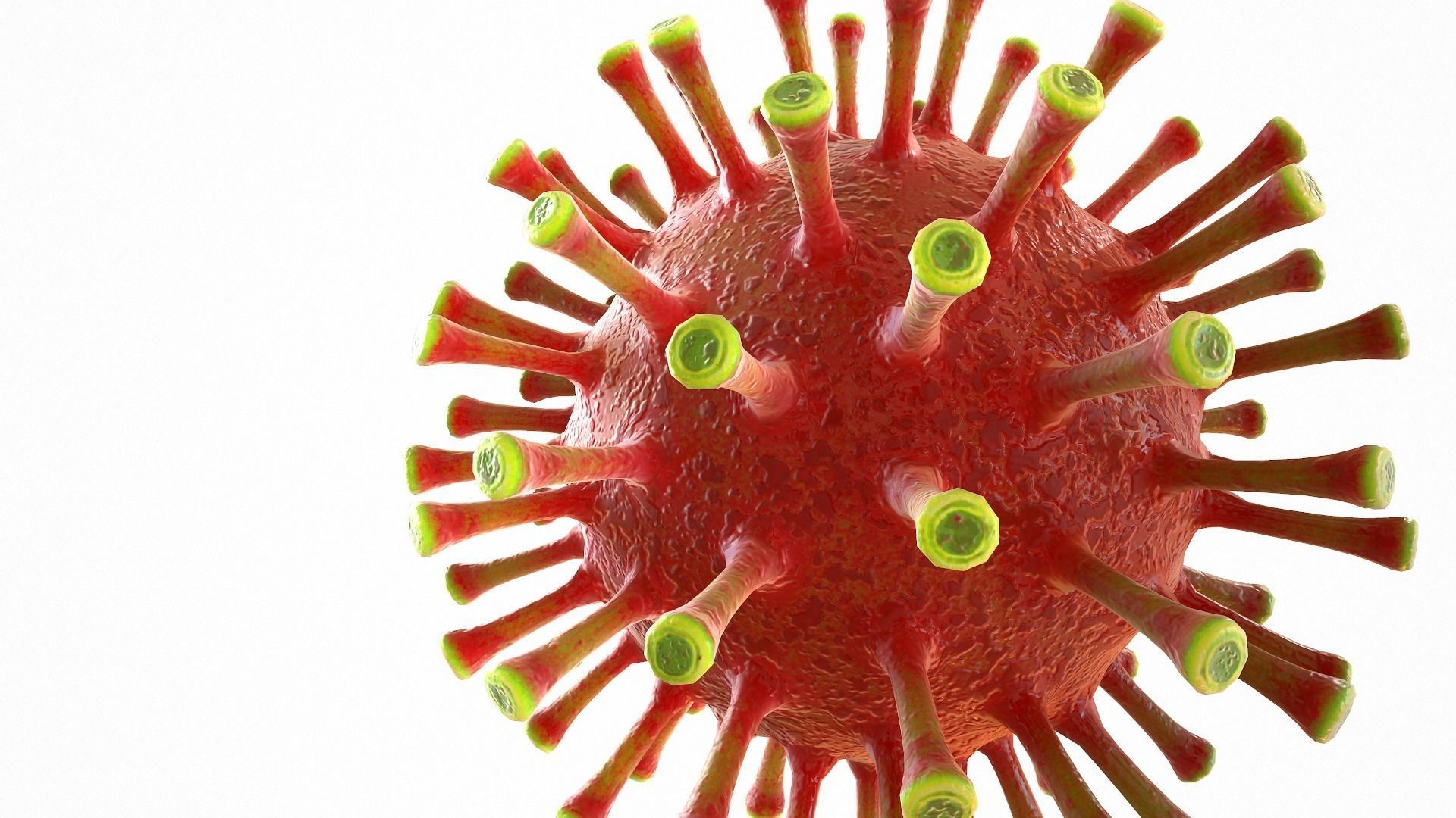 Coronavirus COVID 19 Low-poly 3D model_8