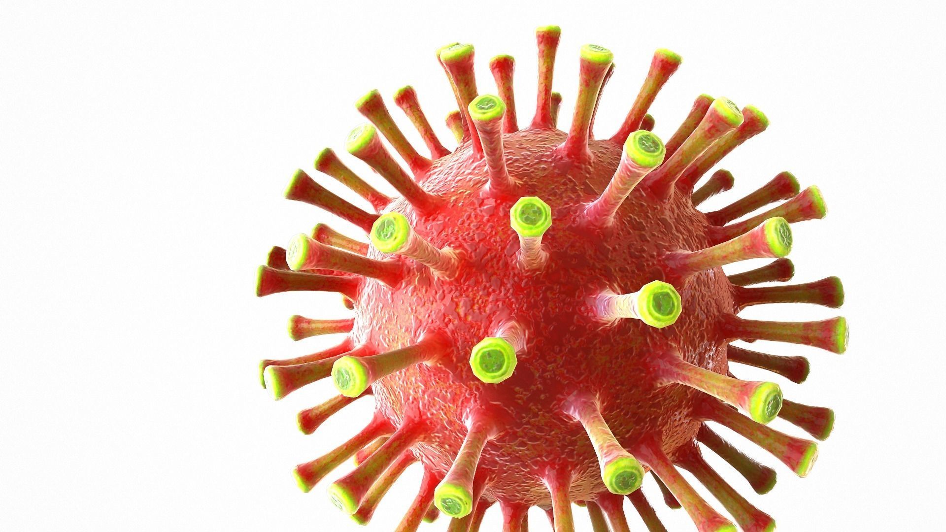 Coronavirus COVID 19 Low-poly 3D model_9