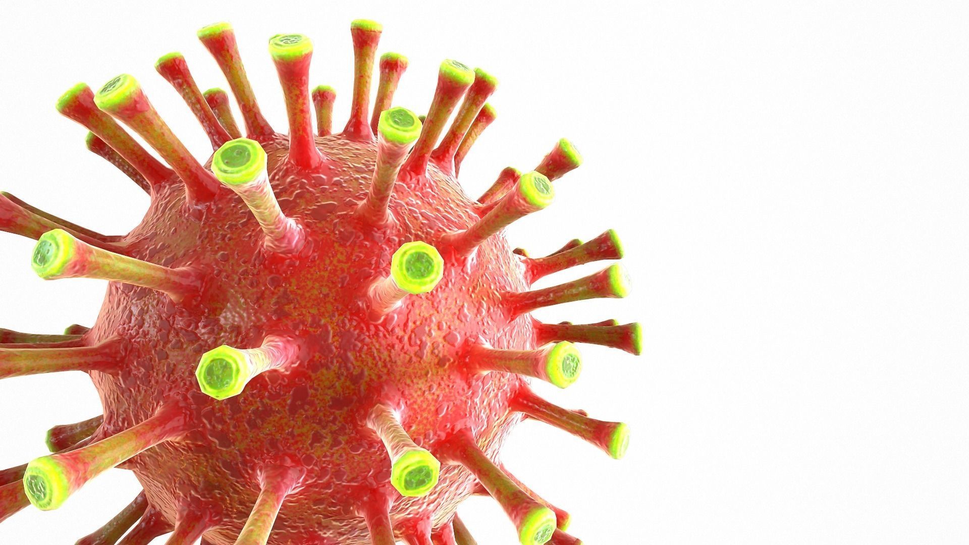 Coronavirus COVID 19 Low-poly 3D model_7