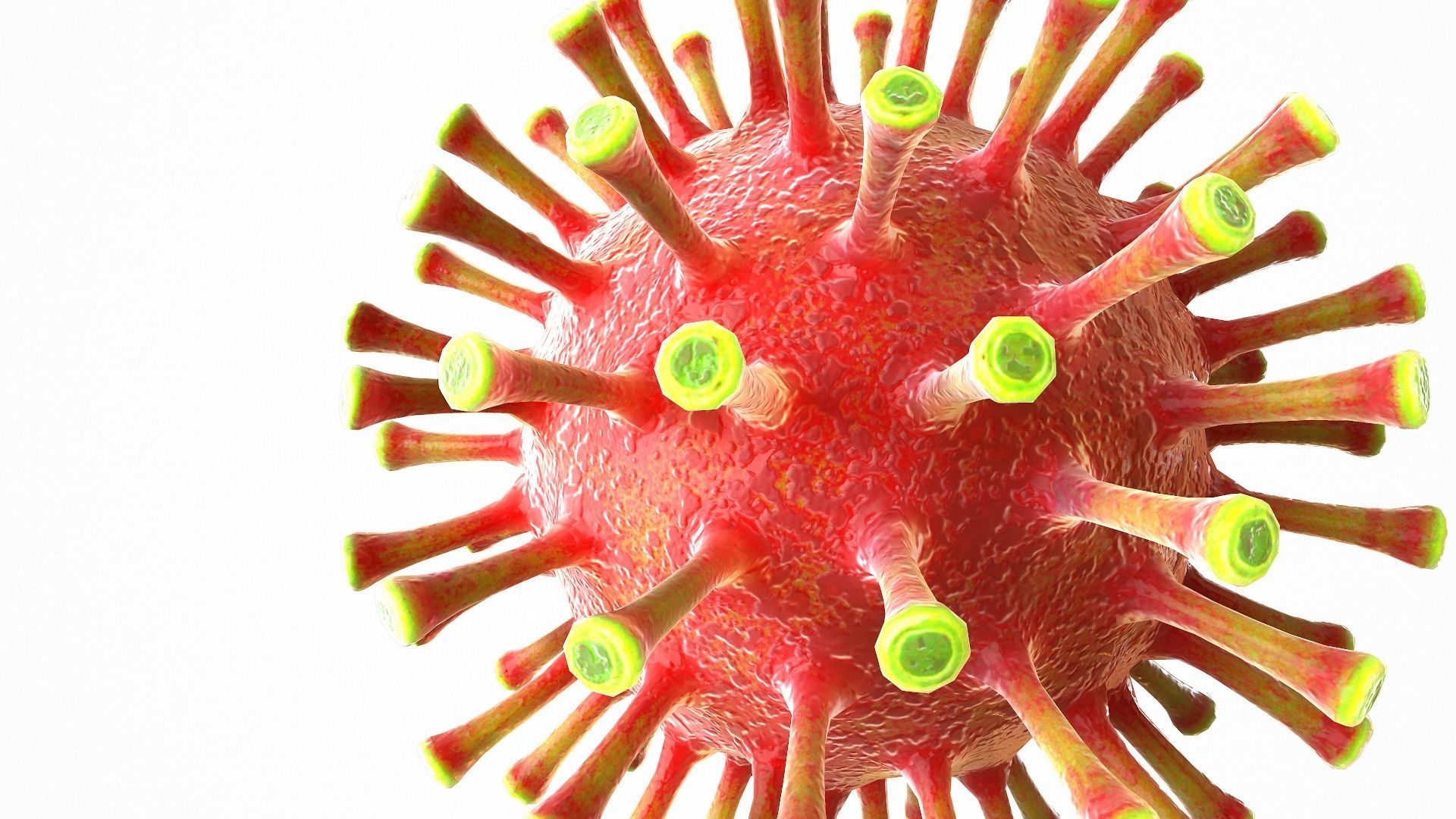 Coronavirus COVID 19 Low-poly 3D model_6