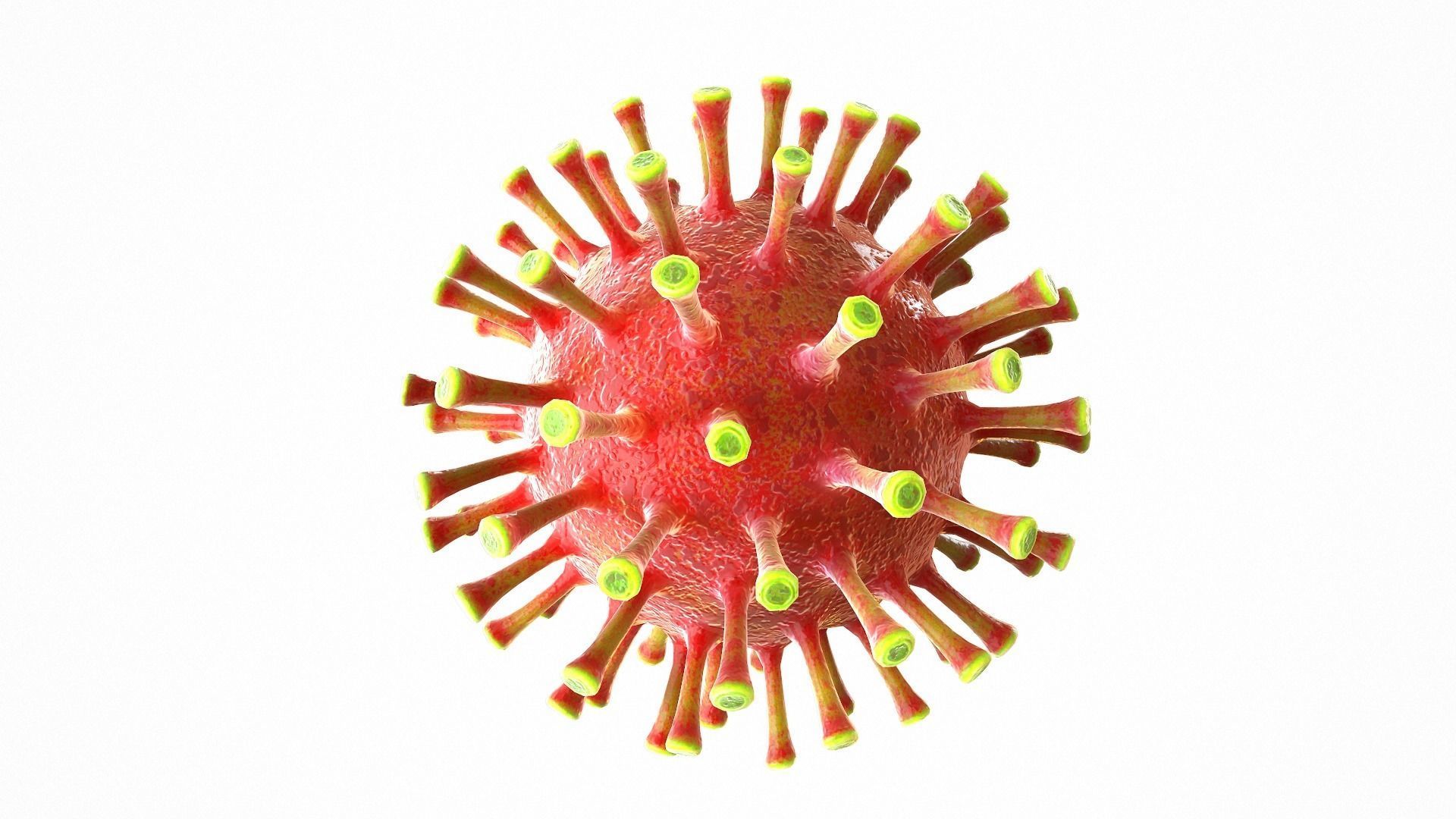 Coronavirus COVID 19 Low-poly 3D model_3