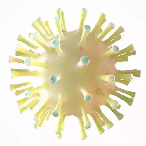 Coronavirus COVID 19