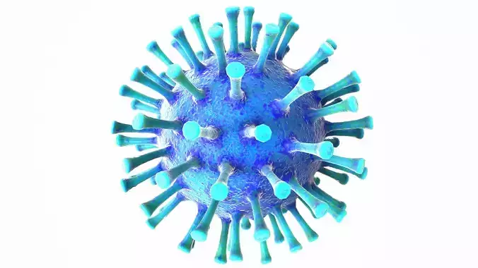 Coronavirus COVID 19