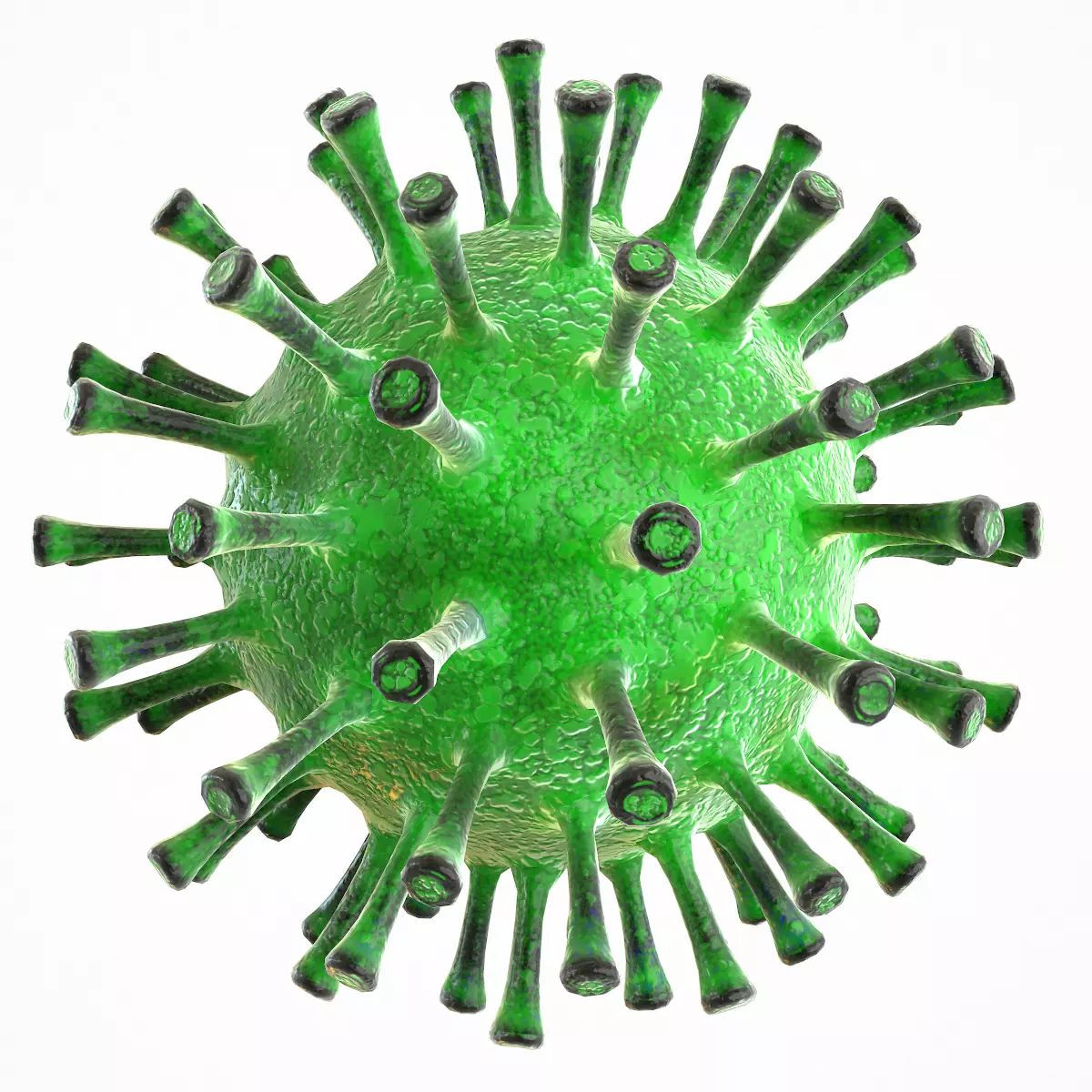 Coronavirus COVID 19 Low-poly 3D model_0