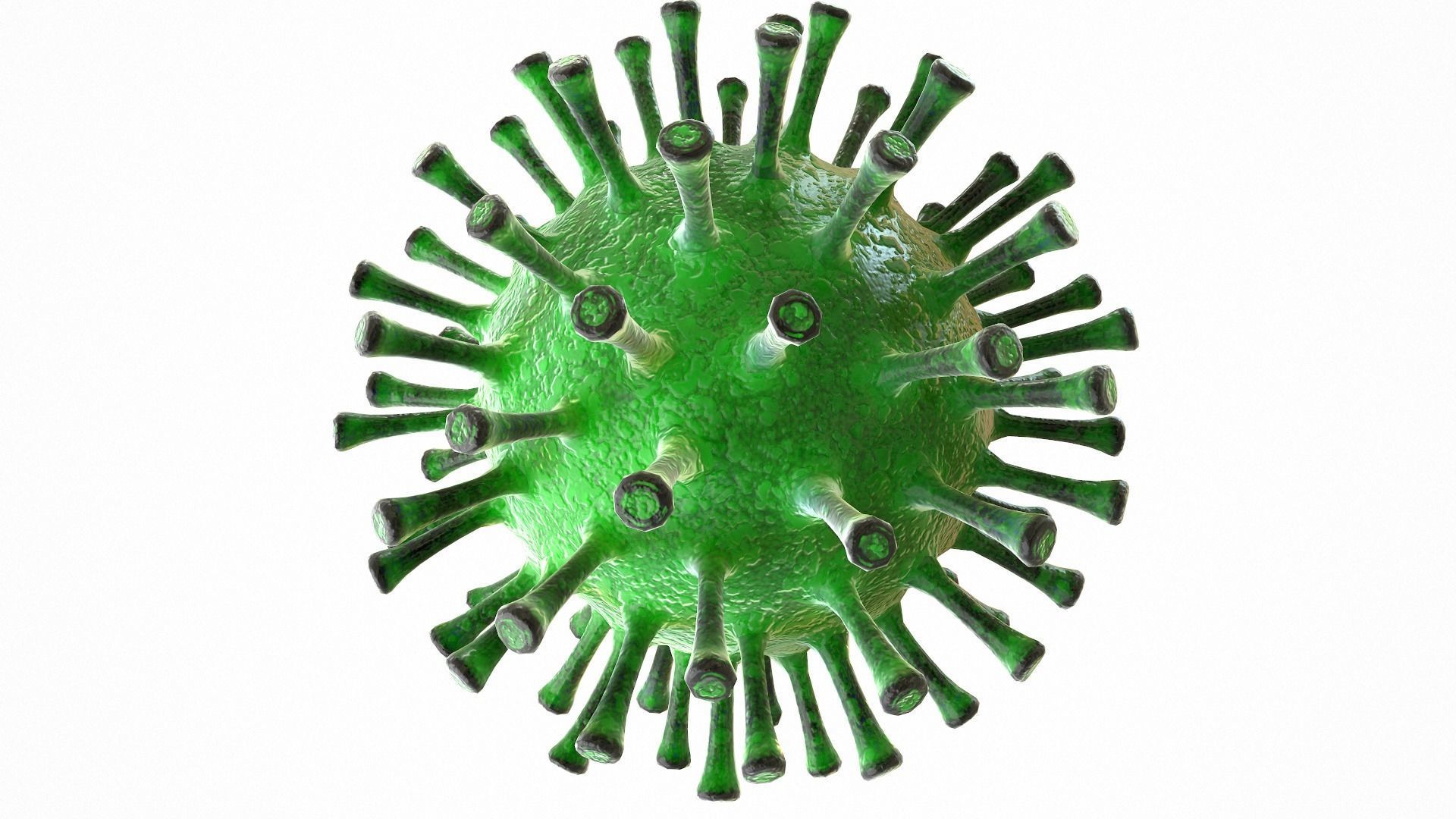 Coronavirus COVID 19 Low-poly 3D model_2