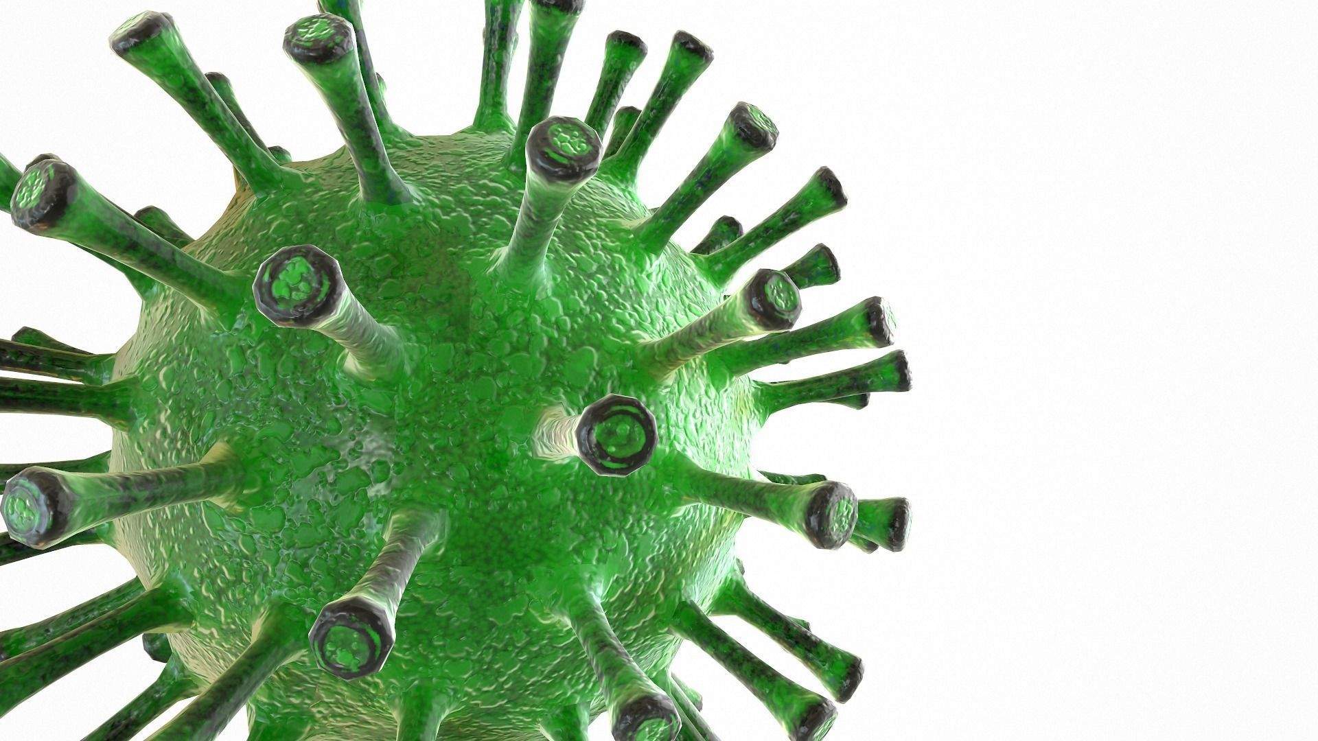 Coronavirus COVID 19 Low-poly 3D model_7