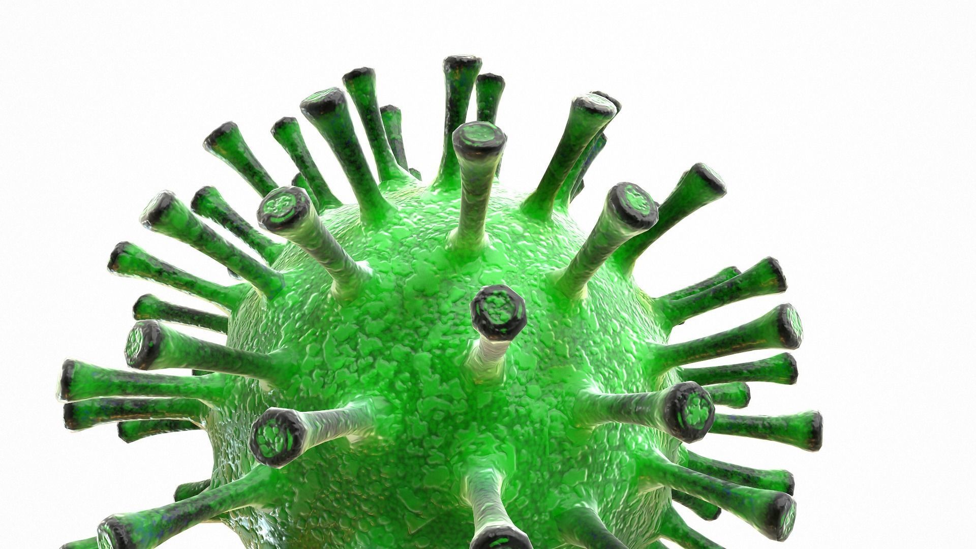 Coronavirus COVID 19 Low-poly 3D model_9