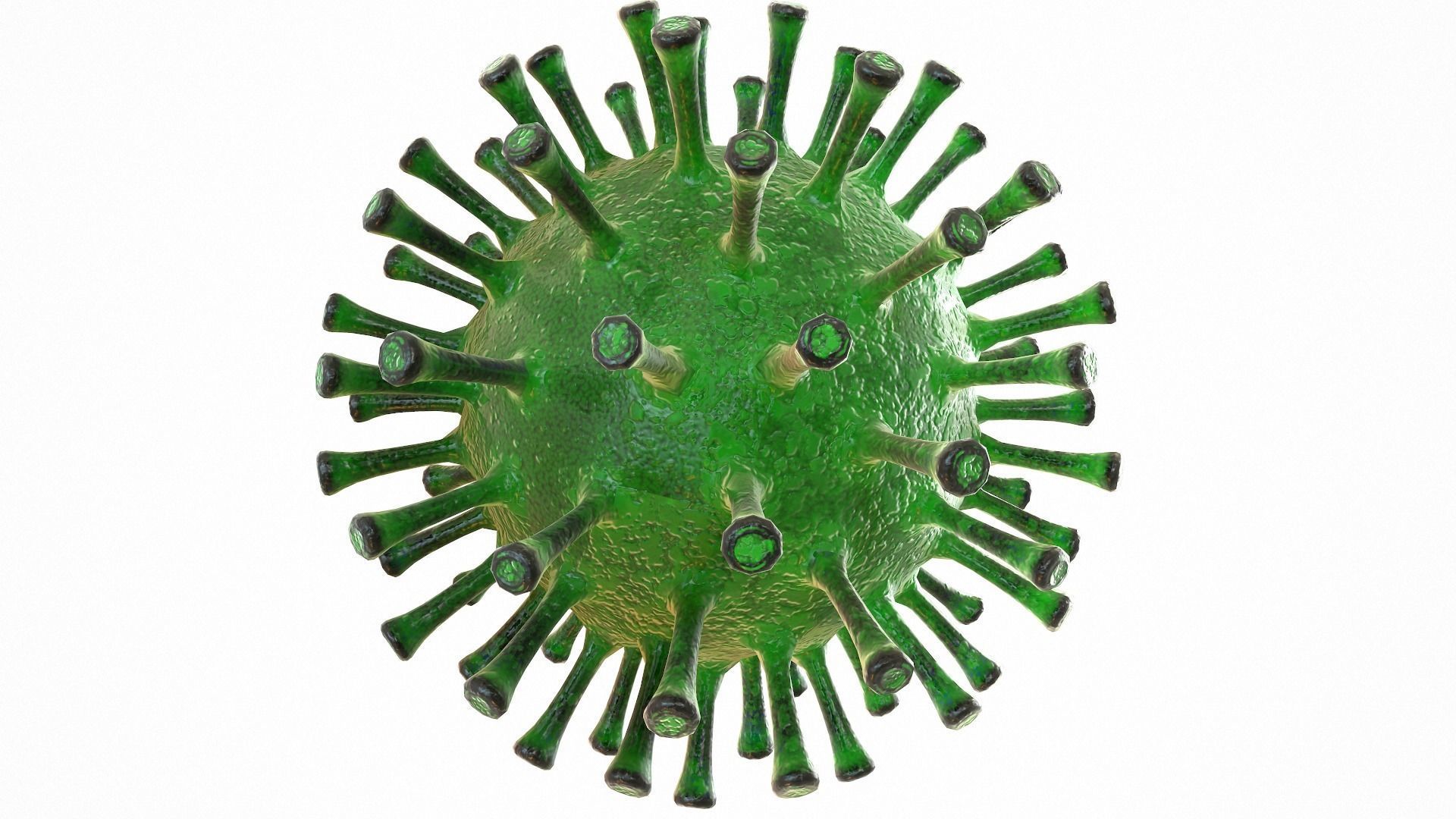 Coronavirus COVID 19 Low-poly 3D model_6