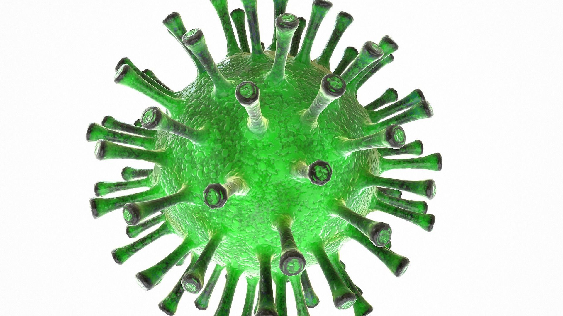 Coronavirus COVID 19 Low-poly 3D model_8