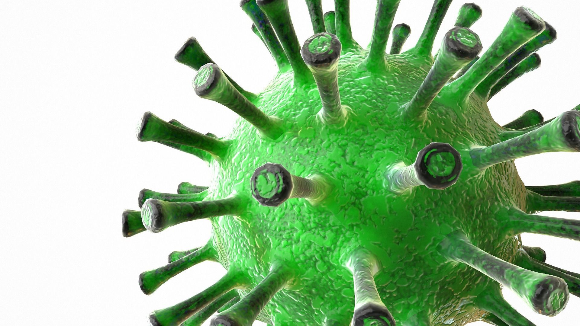 Coronavirus COVID 19 Low-poly 3D model_10