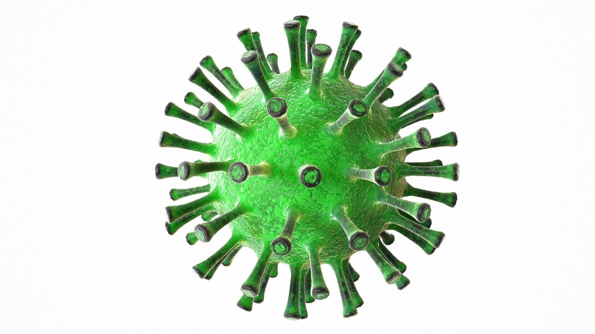 Coronavirus COVID 19 Low-poly 3D model_4
