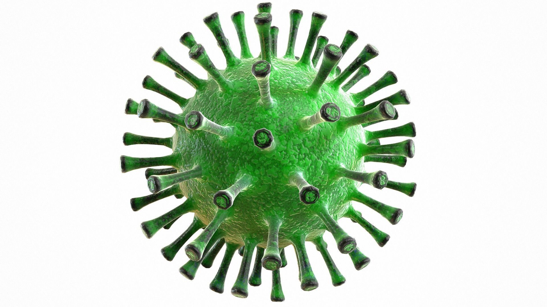 Coronavirus COVID 19 Low-poly 3D model_3