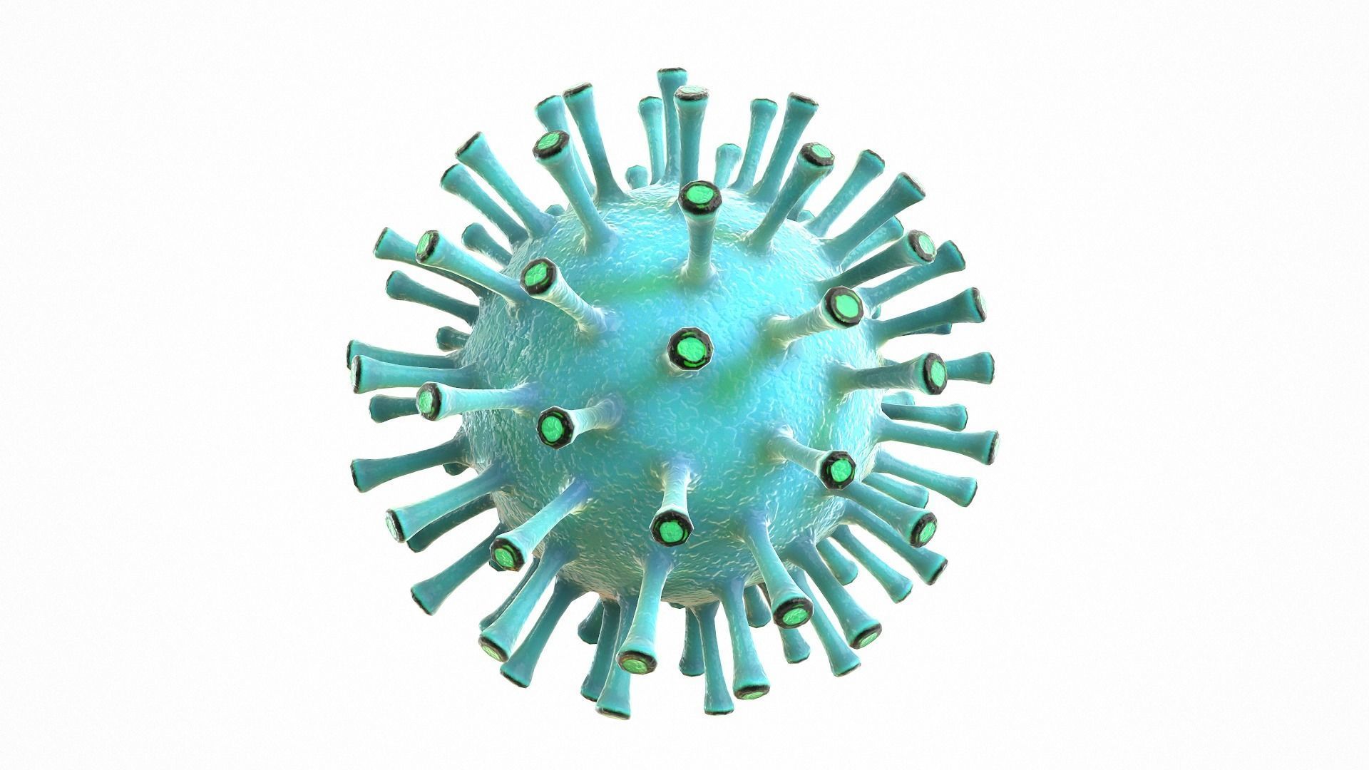 Coronavirus COVID 19 Low-poly 3D model_4