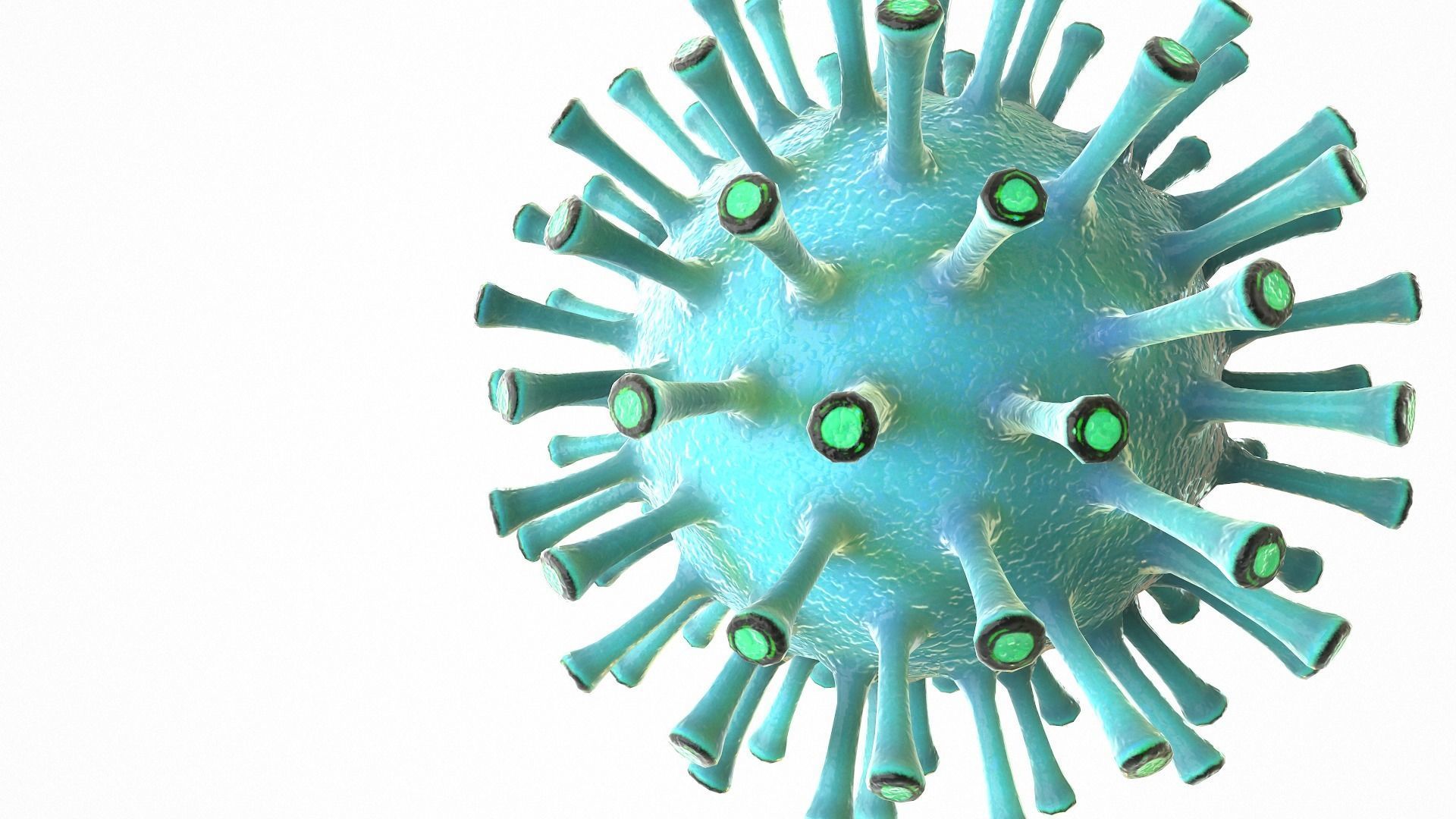 Coronavirus COVID 19 Low-poly 3D model_9