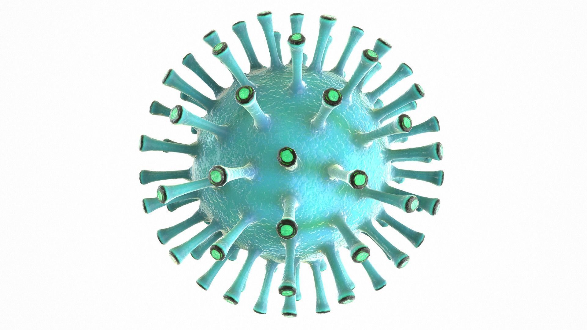 Coronavirus COVID 19 Low-poly 3D model_3
