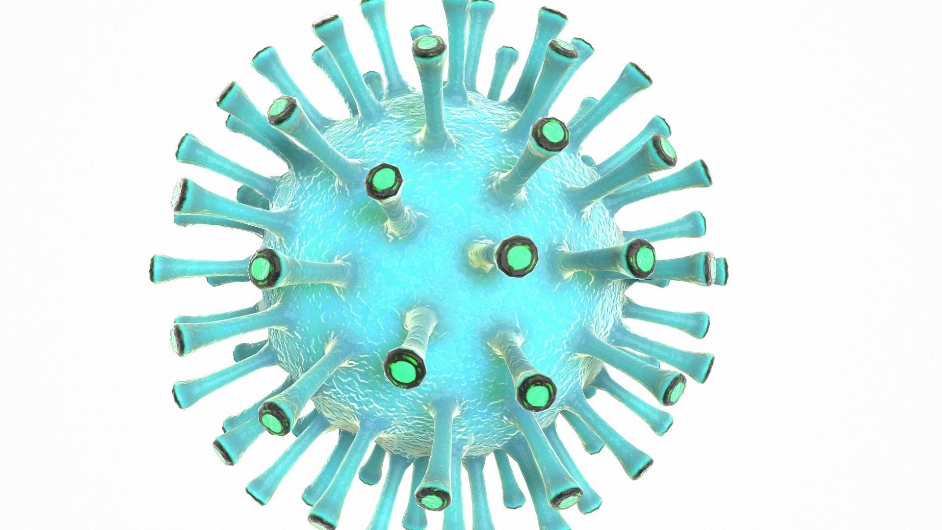 Coronavirus COVID 19 Low-poly 3D model_8