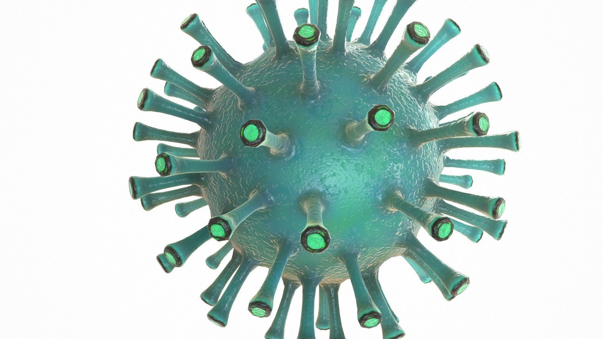 Coronavirus COVID 19 Low-poly 3D model_11