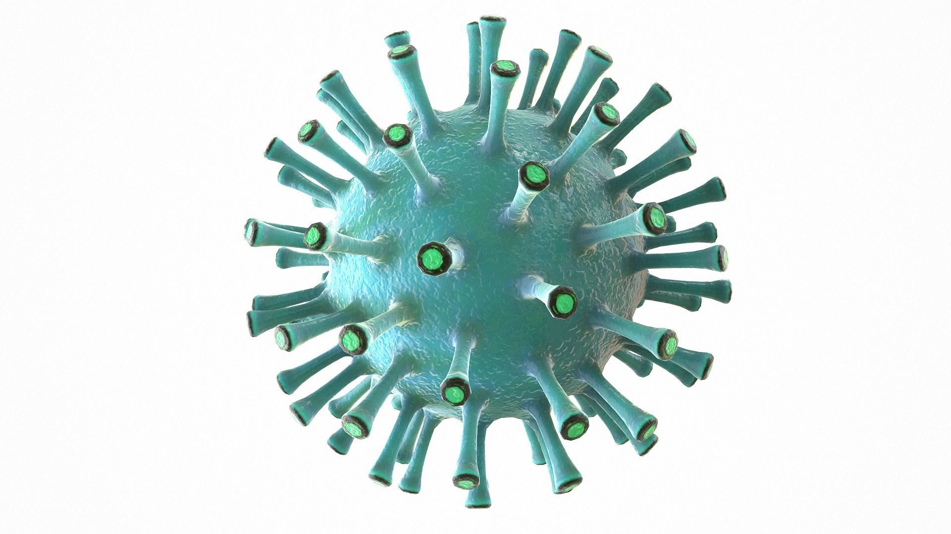 Coronavirus COVID 19 Low-poly 3D model_5