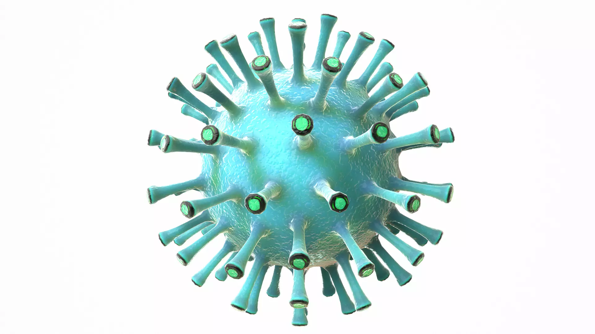 Coronavirus COVID 19 Low-poly 3D model_0
