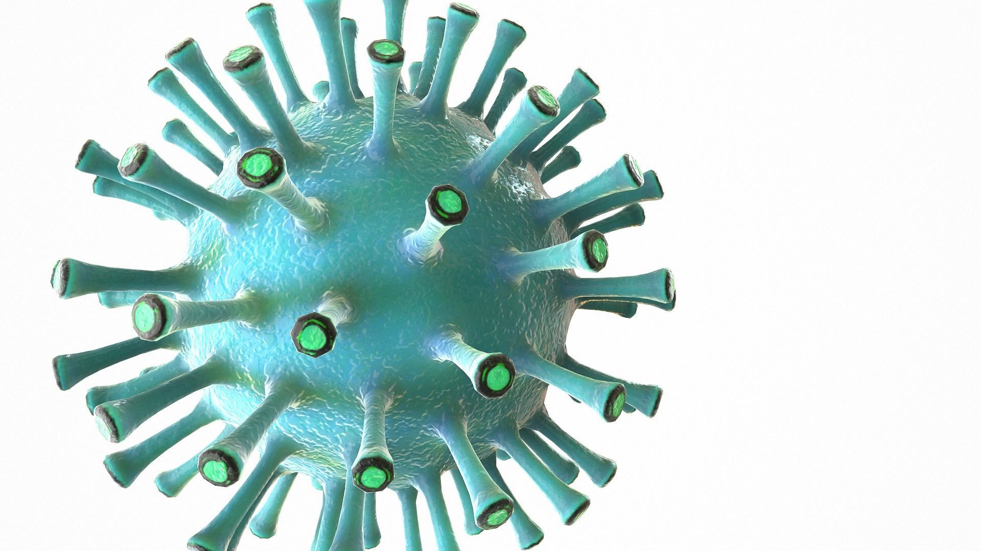 Coronavirus COVID 19 Low-poly 3D model_10