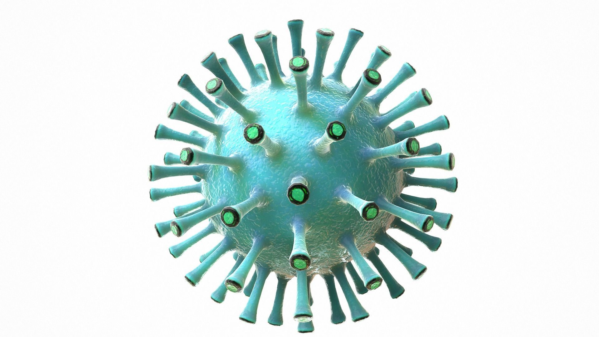 Coronavirus COVID 19 Low-poly 3D model_6