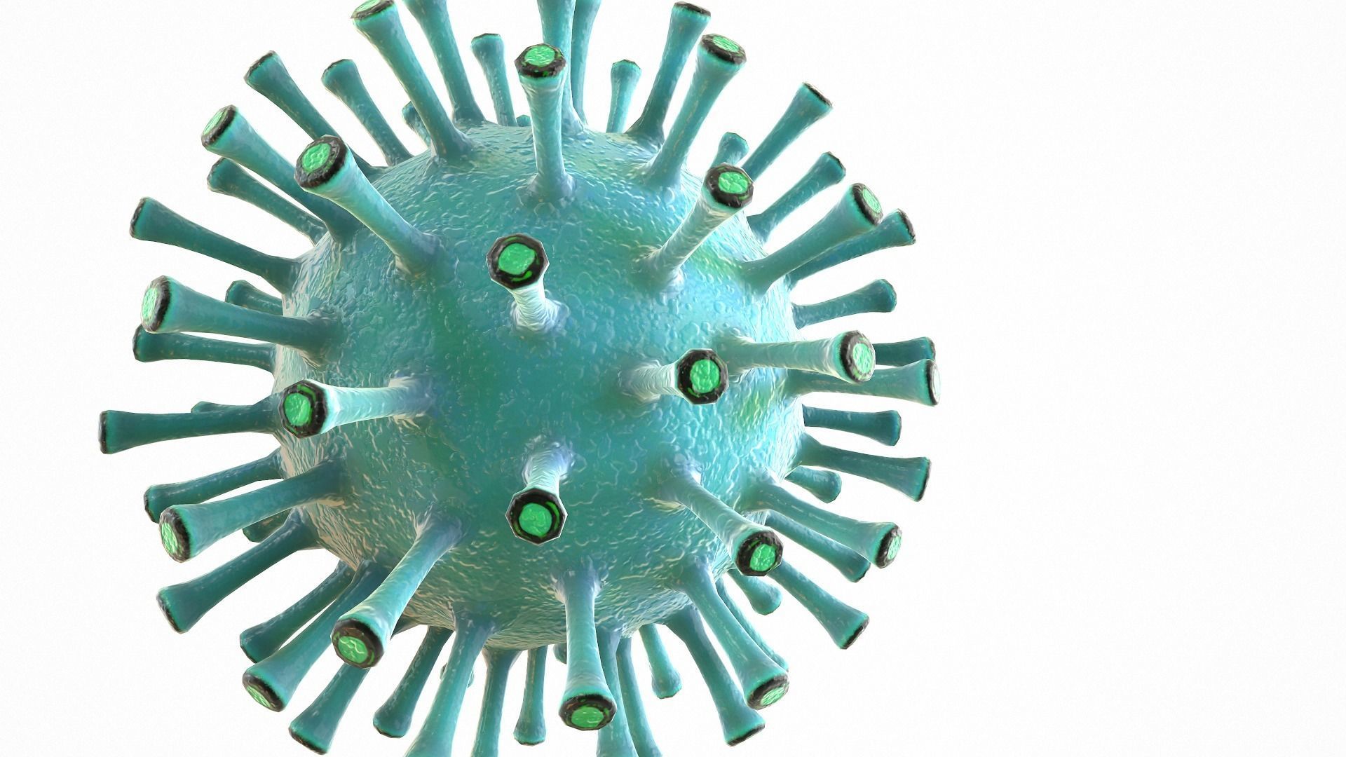 Coronavirus COVID 19 Low-poly 3D model_7