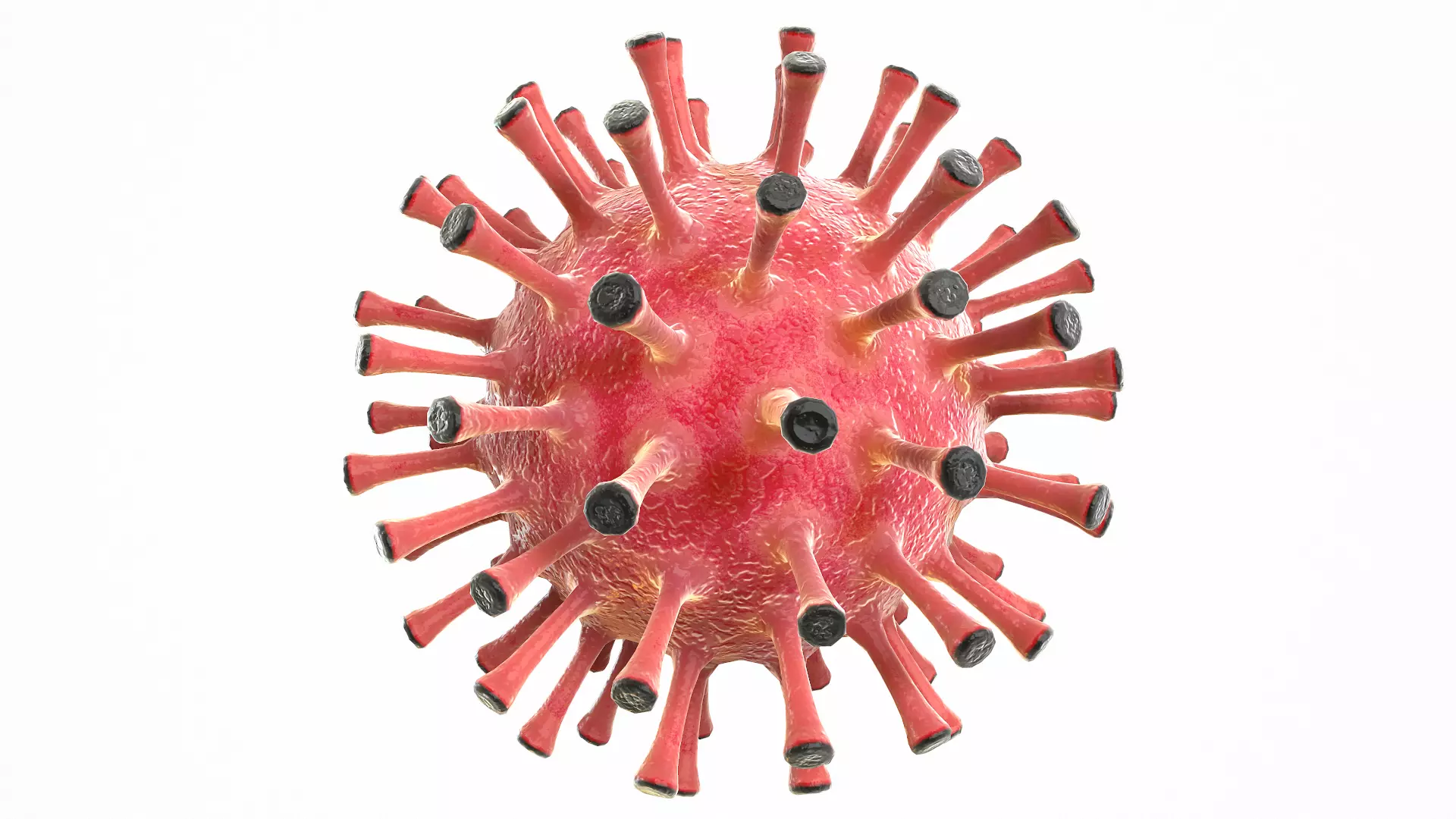 Coronavirus COVID 19 Low-poly 3D model