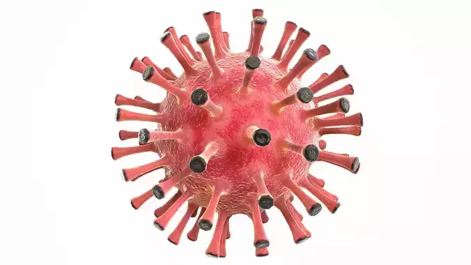 Coronavirus COVID 19 Low-poly 3D model
