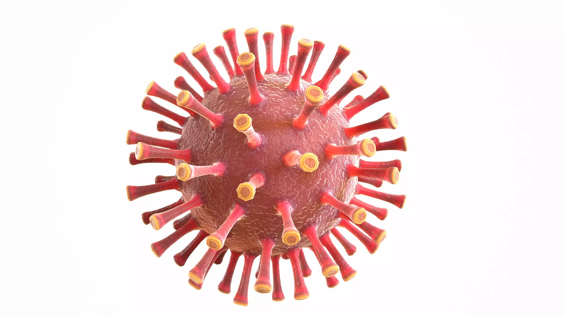 Coronavirus COVID 19 Low-poly 3D model