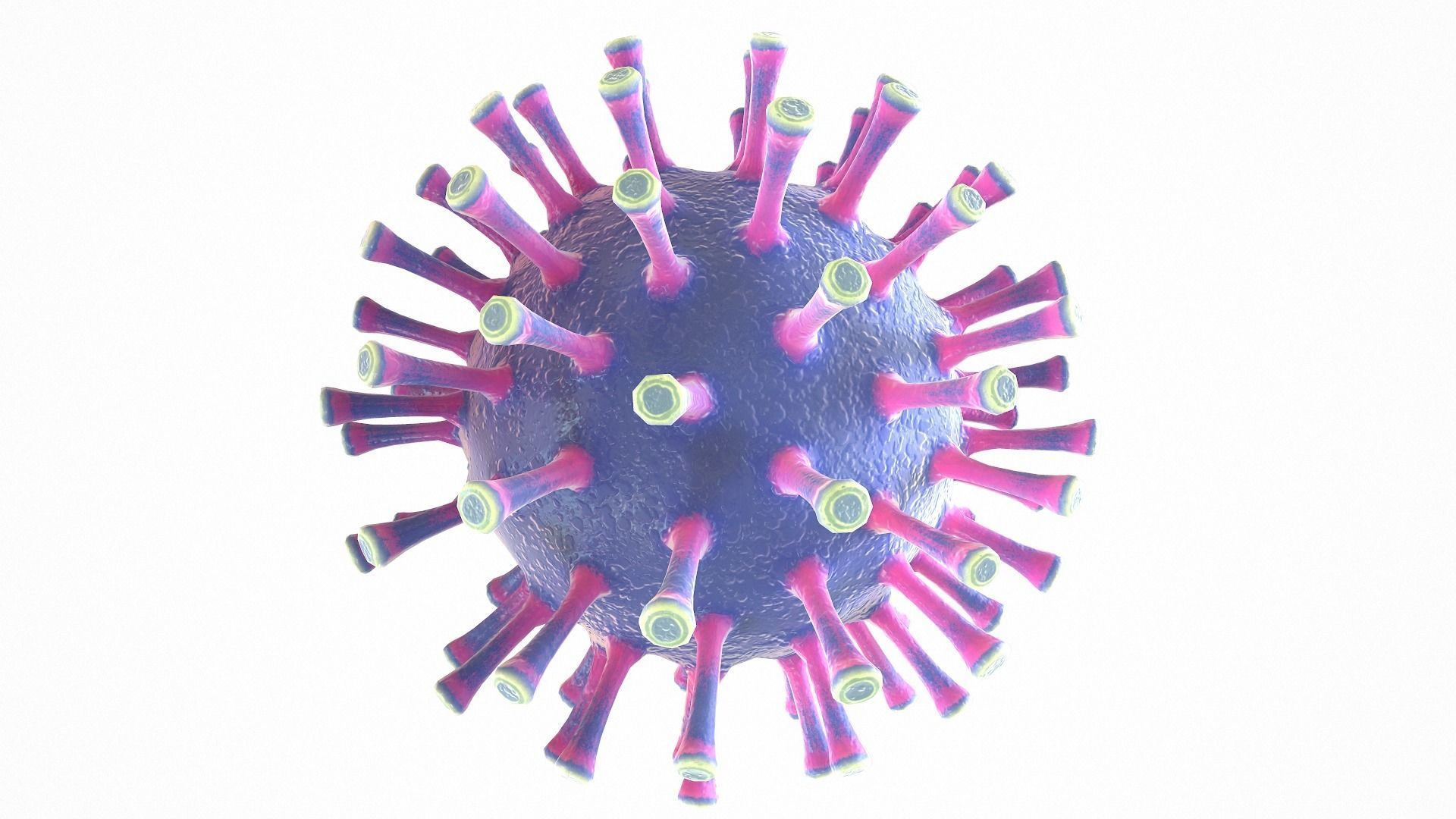 Coronavirus COVID 19 Low-poly 3D model_4