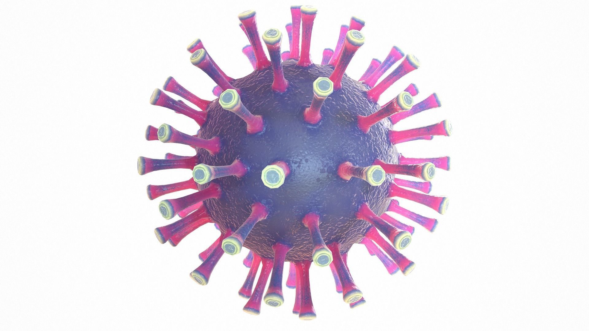 Coronavirus COVID 19 Low-poly 3D model_5